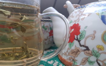 Le thé vert: 5 très bonnes raisons d’en boire