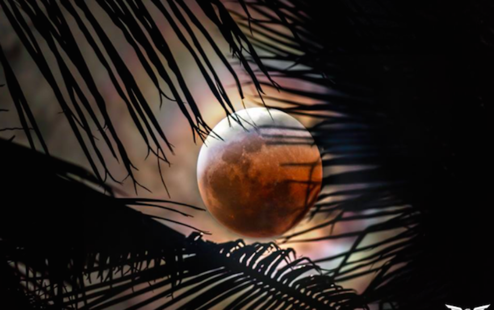 Éclipse lunaire: La magie et beauté de ce phénomène rare