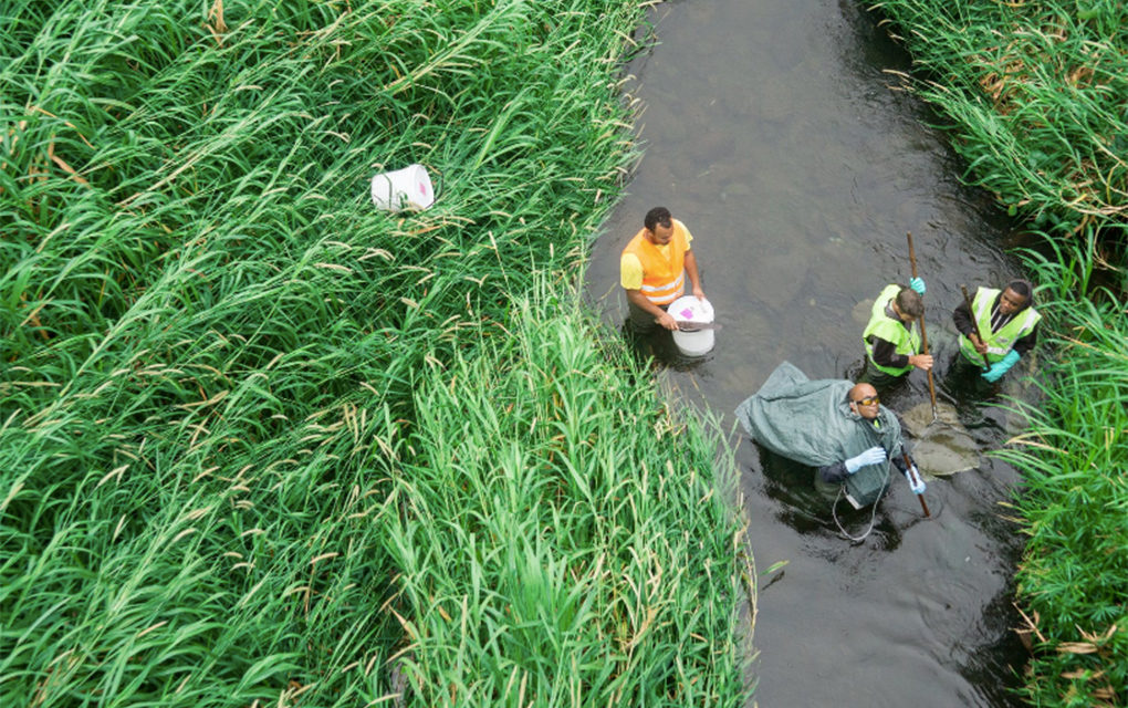 Bas-de-la-Rivière : Une « passe à poissons » pour imiter leur chemin naturel