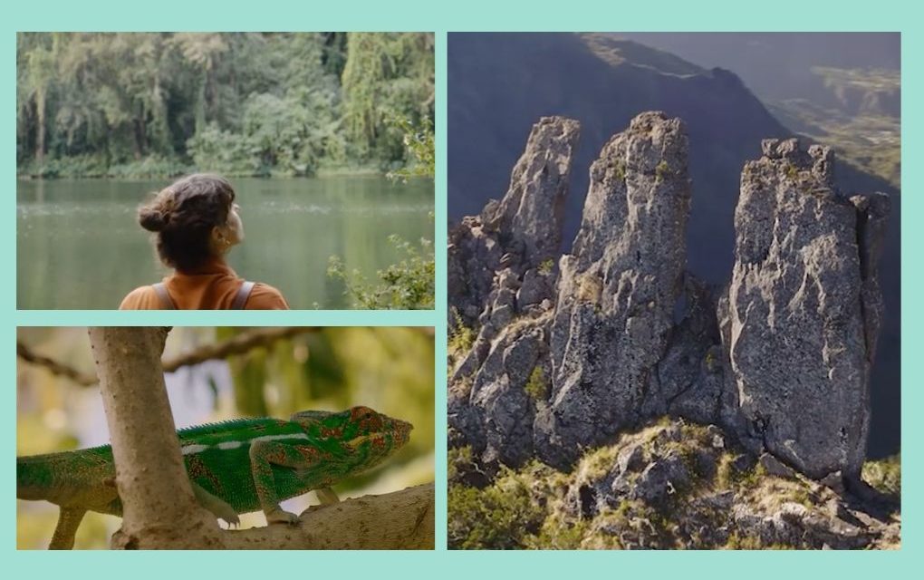 Des globe-trotteurs célèbrent la beauté sauvage de notre île en vidéo