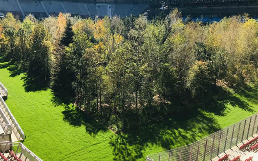 Coup de coeur d’ailleurs : Une forêt dans un stade de football en Autriche