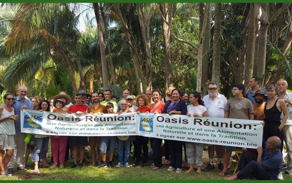 Oasis Réunion : Ils veulent faire de notre île le premier département 100% bio