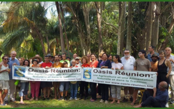 Oasis Réunion : Ils veulent faire de notre île le premier département 100% bio