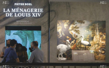 Des œuvres du Louvre à La Réunion, une première dans un département d’Outre-mer